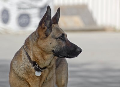 K_5_8877_135 mm_ISO 160_1-1250 Sek. bei f - 4,5.jpg