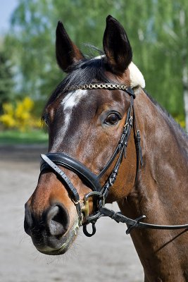 K_5_8846_80 mm_ISO 400_1-1000 Sek. bei f - 5,6.jpg