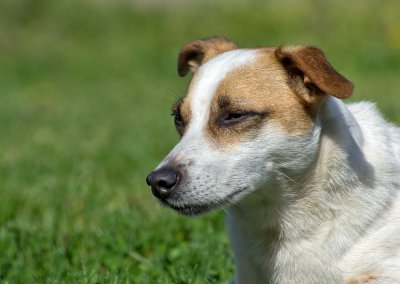 K_5_8914_135 mm_ISO 160_1-2000 Sek. bei f - 5,0.jpg