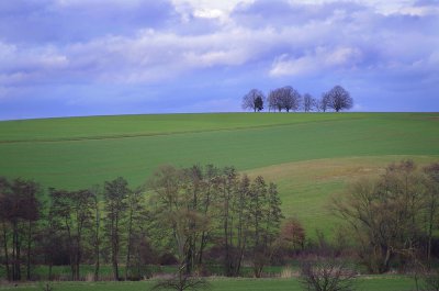 judenfriedhof-am-donnersberg-a23455740.jpg