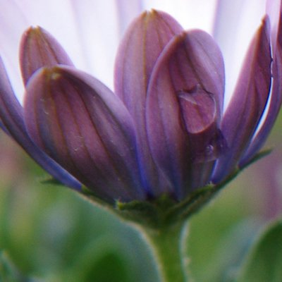 ca3_crop.jpg ca3_crop.jpg