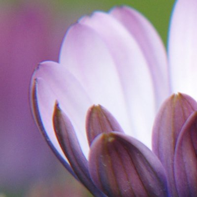 ca2_crop.jpg ca2_crop.jpg