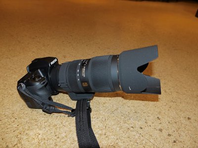 P1020603.JPG