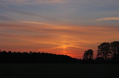 comp_MORG6882g.jpg comp_MORG6882g.jpg