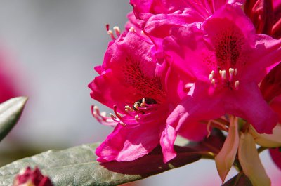 IMGP0920.JPG IMGP0920.JPG