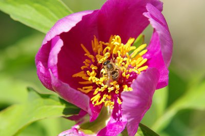 IMGP0973.JPG IMGP0973.JPG