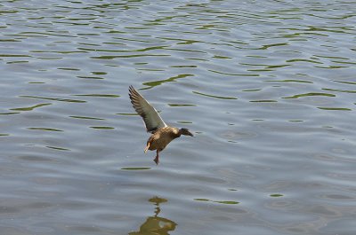 IMGP0902.JPG IMGP0902.JPG