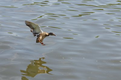 IMGP0903.JPG IMGP0903.JPG