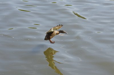 IMGP0904.JPG IMGP0904.JPG