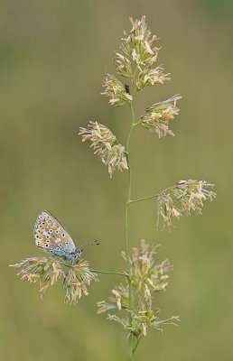 IMGP0962-2_m@rmor.jpg IMGP0962-2_m@rmor.jpg