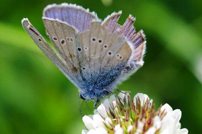 IMGP7232-600.jpg IMGP7232-600.jpg