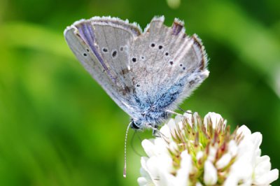 IMGP7234-600.jpg IMGP7234-600.jpg