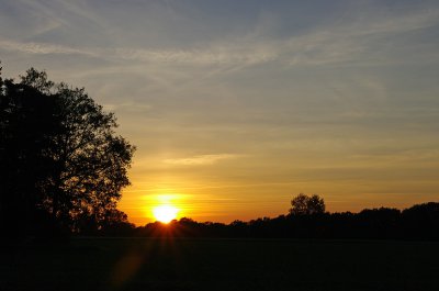 comp_MORG0161.jpg comp_MORG0161.jpg