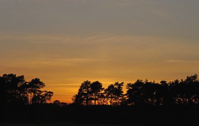 comp_MORG0186.jpg comp_MORG0186.jpg