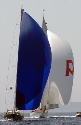 IMGP6877.jpg