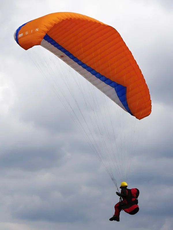 IMGP3889.webp