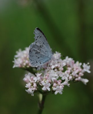 heute4.JPG heute4.JPG