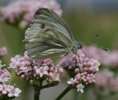 heute5.JPG heute5.JPG