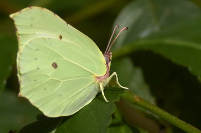 IMGP2670.jpg IMGP2670.jpg