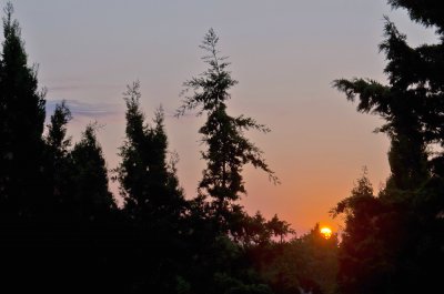 20110731_Sonnenaufgang.jpg