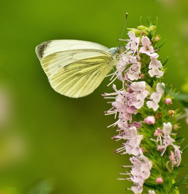 Compressed_0015.jpg Compressed_0015.jpg