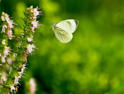 Compressed_0017.jpg Compressed_0017.jpg