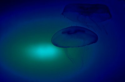 K_5_5945_21 mm_ISO 160_1-8 Sek. bei f - 3,2.jpg