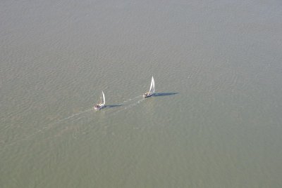 comp_IMGP8817.jpg