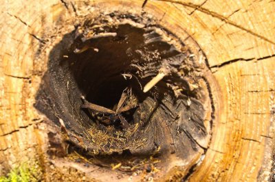 comp_IMGP3033.jpg comp_IMGP3033.jpg