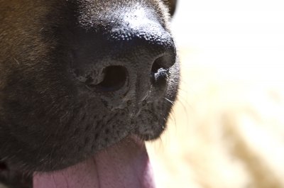 _IGP0810.jpg _IGP0810.jpg