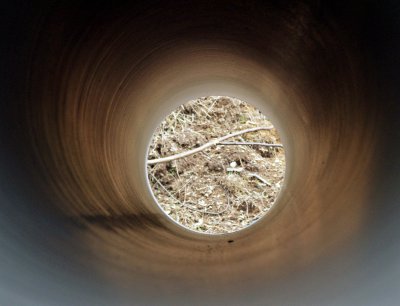 11SetzDreis20.JPG 11SetzDreis20.JPG