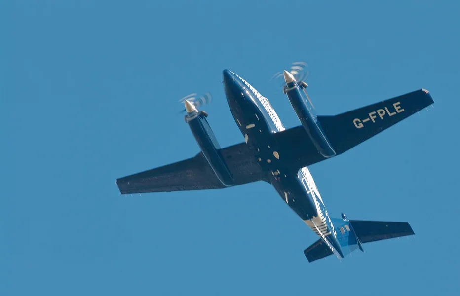 im Flug_3.webp