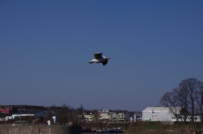 IMGP1355 Forum 2.jpg