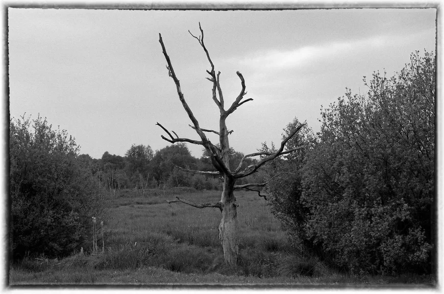 IMGP2736.1-Bearbeitet.webp