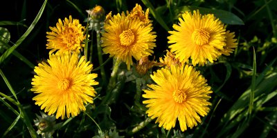 PENTAX K-7 1-250 Sek. bei f - 8.0 ISO 200 45 mm 5 110422.jpg