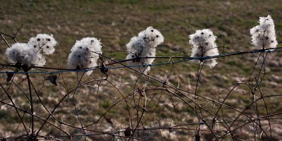 PENTAX K-7 1-500 Sek. bei f - 4.5 ISO 100 34 mm 5 110213.jpg