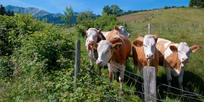 PENTAX K-7 1-500 Sek. bei f - 8.0 ISO 400 18 mm 5 110529.jpg