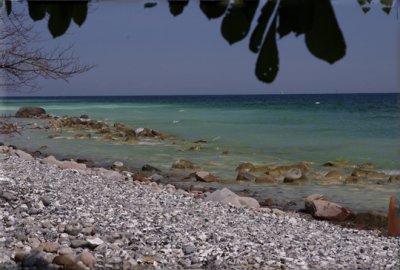 IMGP3717web.jpg