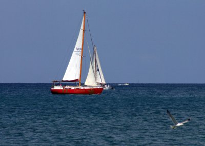 IMGP1910-2.JPG
