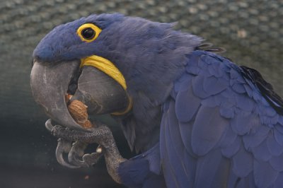 f11016832.jpg