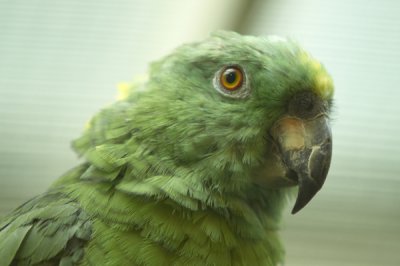 f11352256.jpg