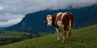 PENTAX K-7 1-320 Sek. bei f - 7.1 ISO 200 70 mm Weg 110918.jpg