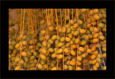 Orange_1.jpg Orange_1.jpg