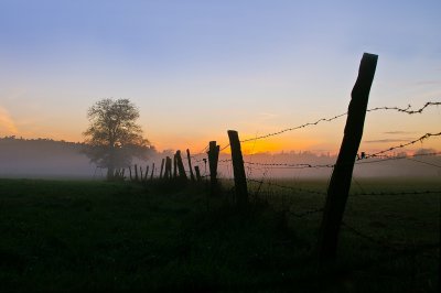 comp_Abendnebel.jpg