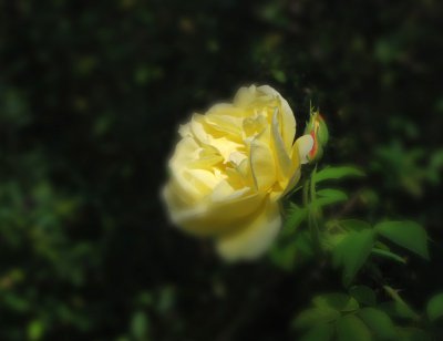 IMGP0040.JPG