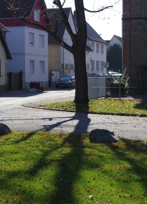 IMGP0050.JPG