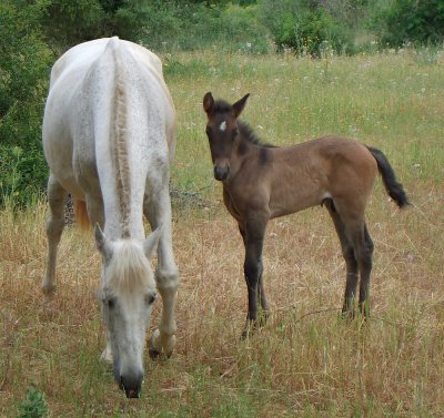 ein paar Stunden alt.JPG