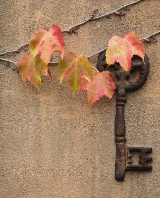 der Schlüssel zum Herbst.JPG