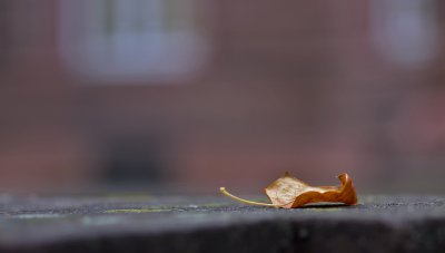 K_5_2554_70 mm_ISO 160_1-400 Sek. bei f - 2,8.jpg