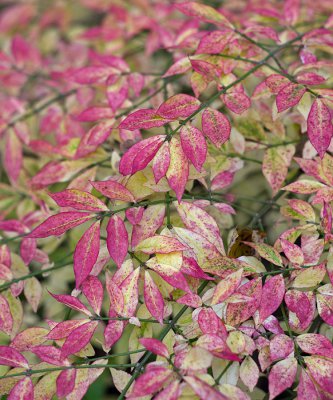 K_5_2591_70 mm_ISO 200_1-125 Sek. bei f - 4,0.jpg